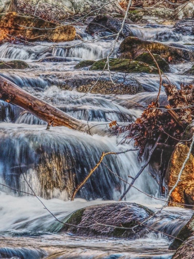 Reeves Meadow Mini Rapids